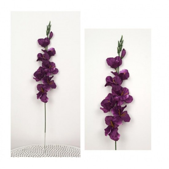 Gladiool magenta paars